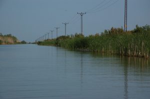 Donaudelta bei Sulina Rumaenien