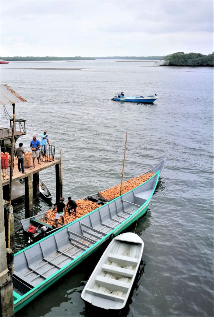 Transportschiff mit und ohne Ladung